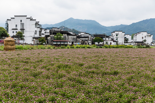 婺源沱川乡