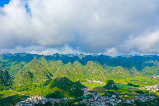 万峰林油菜花田