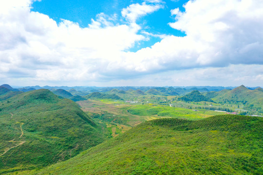 万峰林油菜花田