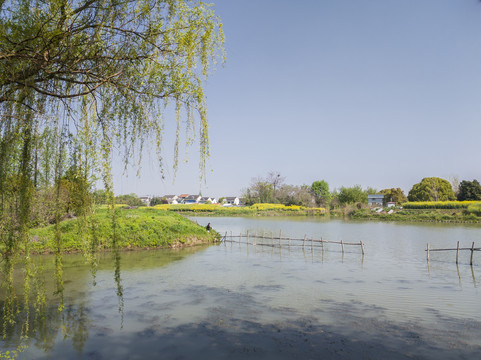 春天的梁鸿湿地5