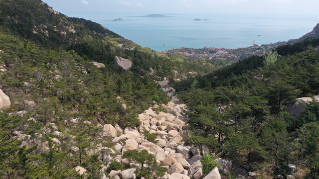 青岛崂山华严寺雕龙嘴