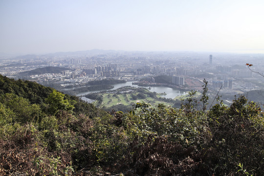 城市俯瞰
