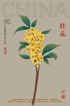 桂花