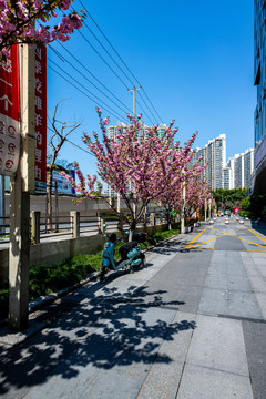 上海普陀江宁路街景