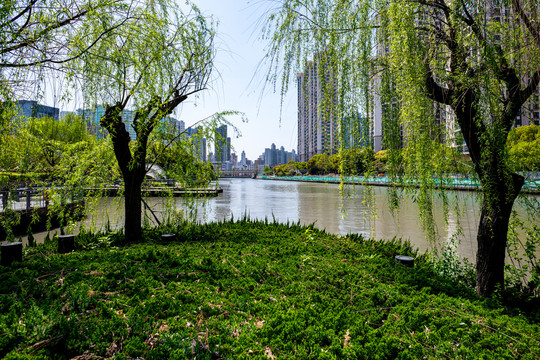上海普苏州河梦清园环保主题公园