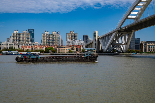 上海世博卢浦大桥