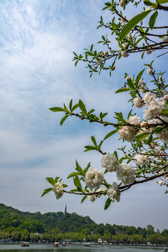 浙江杭州西湖风景区