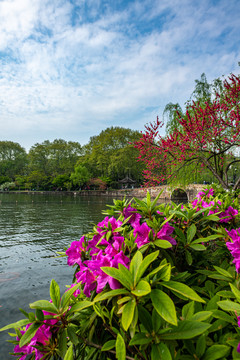 浙江杭州西湖风景区