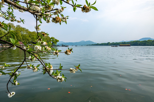 浙江杭州西湖风景区