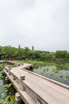 中国苏州虎丘山的一榭园的园林
