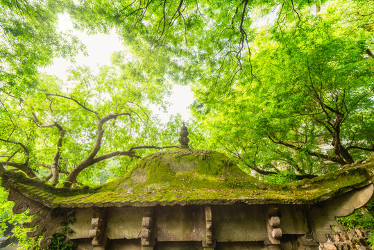 中国苏州虎丘山的园林古建筑