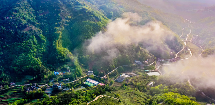 山川云雾