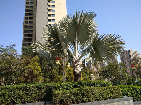 现代建筑
