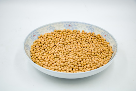 黄豆