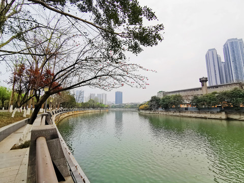 成都府南河江景