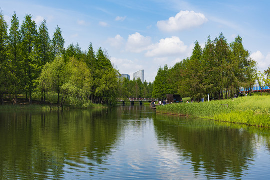 上海后滩湿地公园