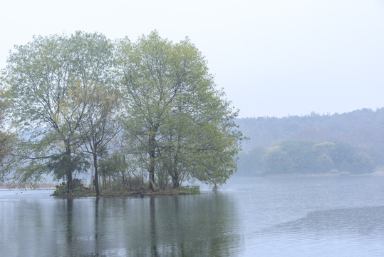 杭州西湖风光雨中西湖