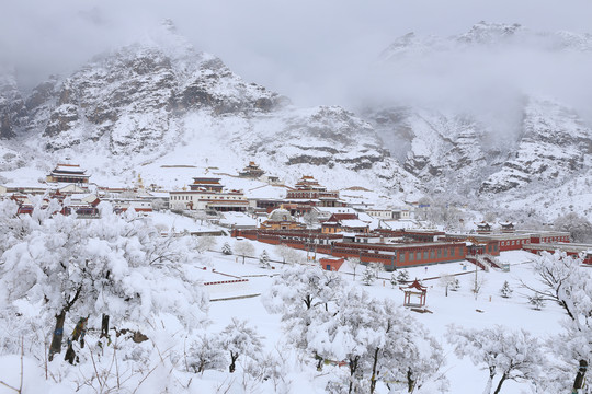 雪中南寺