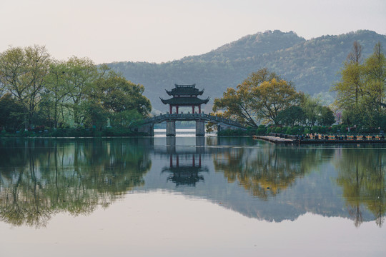 杭州西湖曲院风荷玉带桥自然风景