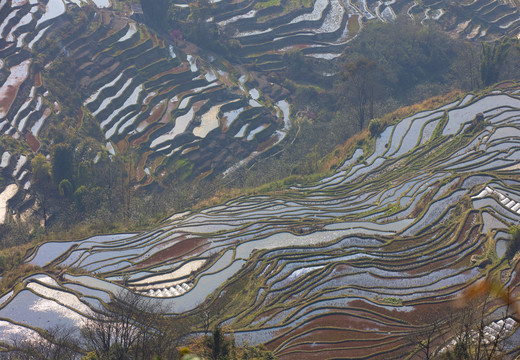 元阳梯田