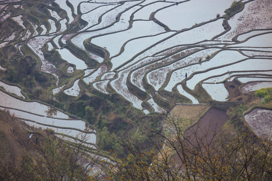 元阳梯田