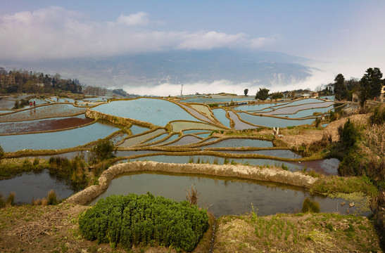 元阳梯田