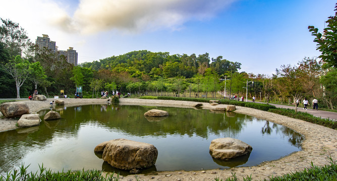 翠湖公园全景图