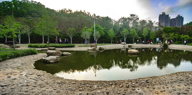 翠湖公园