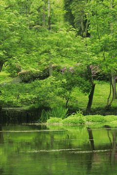 山水河流自然风光