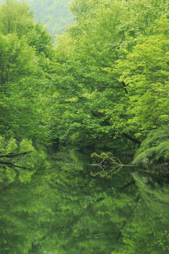 山水河流自然风光