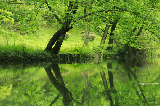 绿水青山河流