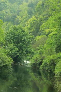 自然绿水青山河流