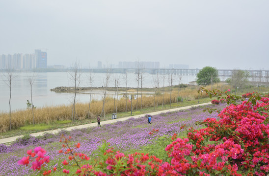 福州西江滨公园