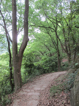 张飞古道景区