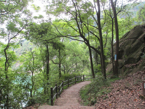 张飞古道景区