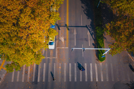 城市道路