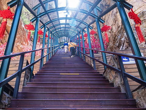 登山观景阶梯