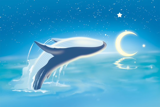 鲸与海月