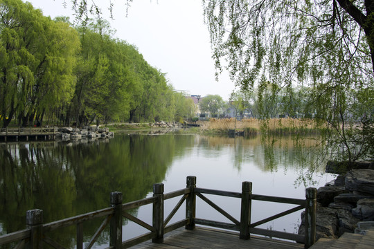 唐山南湖风景