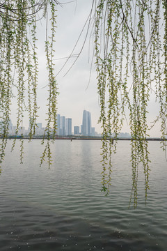 苏州金鸡湖阴天景观