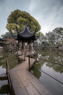 苏州狮子林园林景观