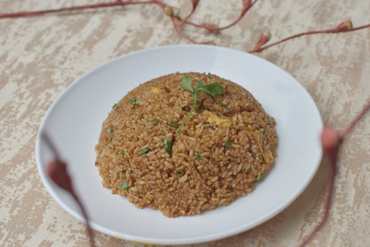 鸡蛋炒饭