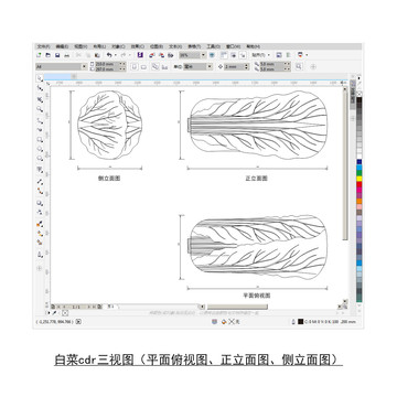 大白菜CDR平面图立面图