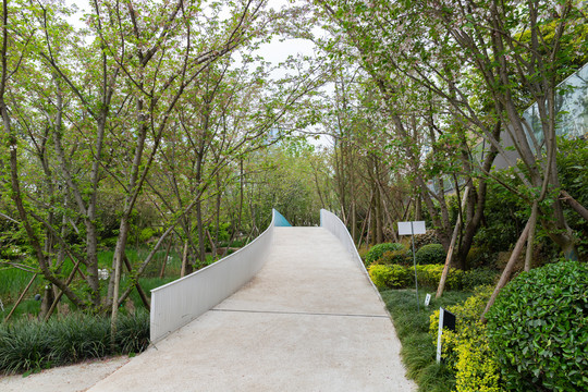 成都麓湖生态城樱花路径