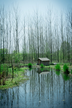 林中小屋