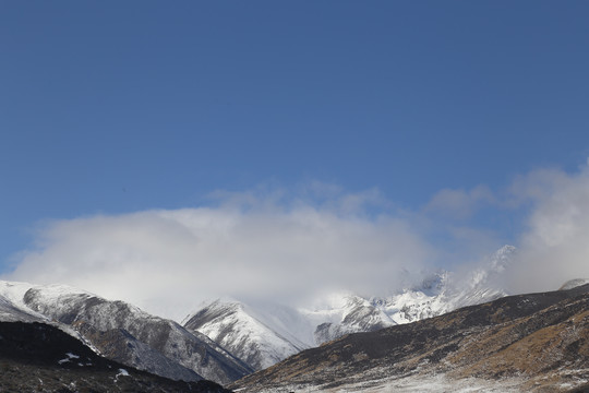 雪域高原