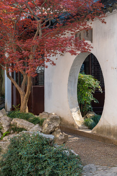 苏州艺圃园林景观