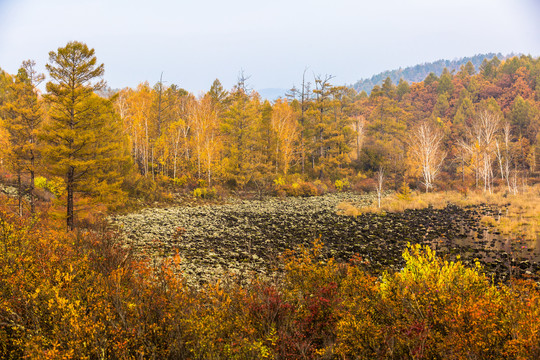 秋季金色森林火山岩