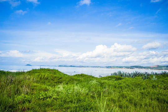 草地海边天空