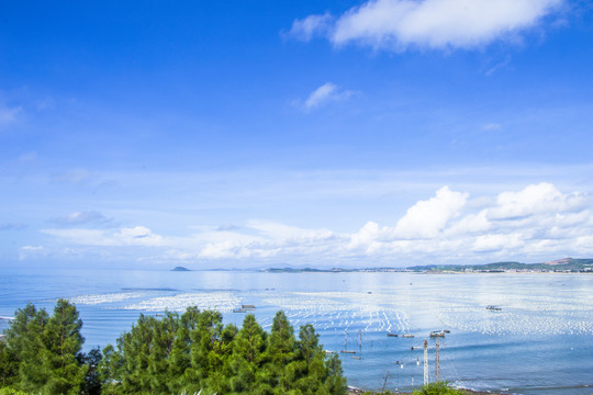 漳州海边风景